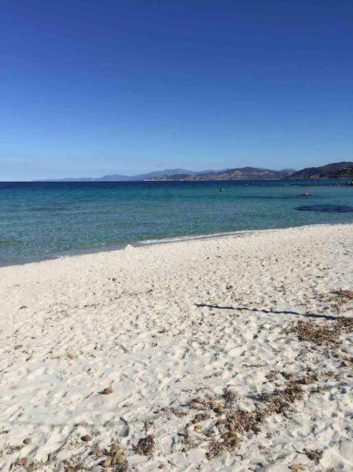 Appart Avec Terrasse Vue Sur Mer Exceptionnelle LʼÎle-Rousse Extérieur photo